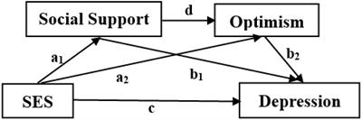 Higher Socioeconomic Status Predicts Less Risk of Depression in Adolescence: Serial Mediating Roles of Social Support and Optimism